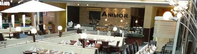 Animor