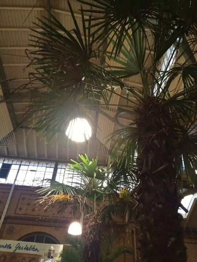 Arminiusmarkthalle
