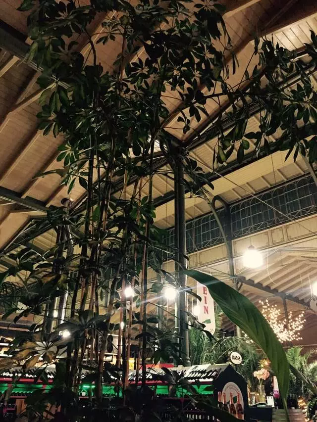 Arminiusmarkthalle