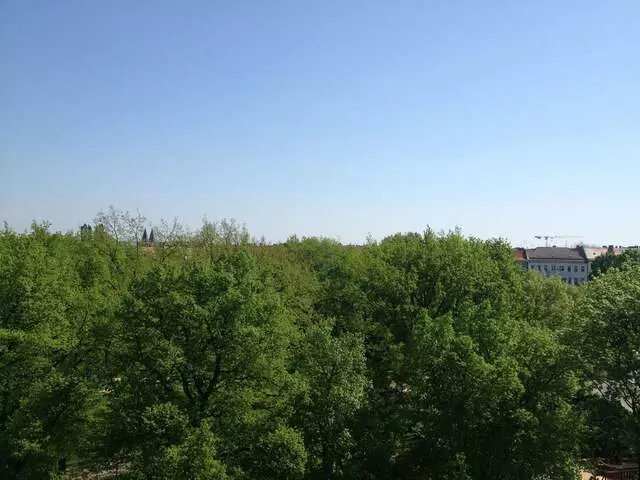 Arnimplatz