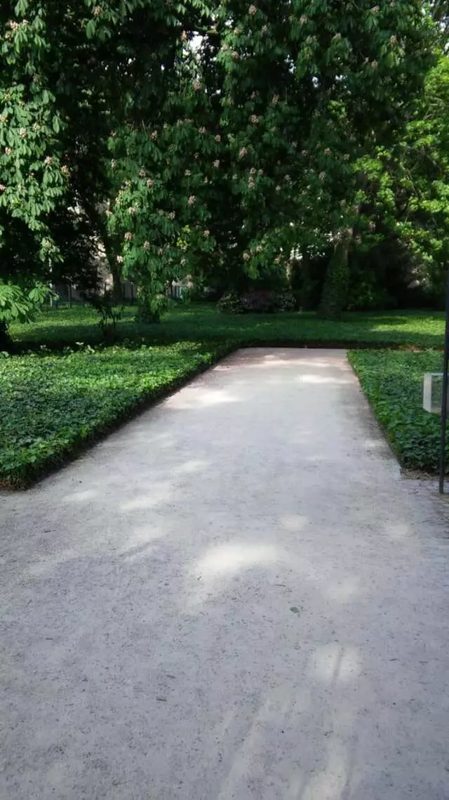 Alter Jüdischer Friedhof
