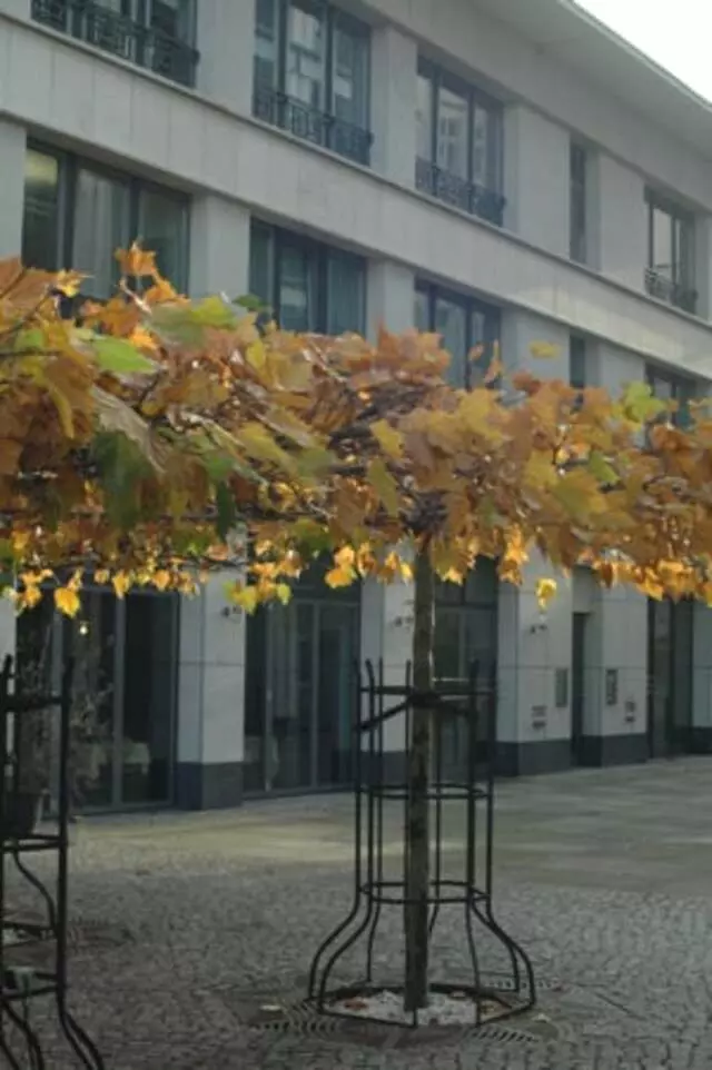 ApartHotel Residenz Am Deutschen Theater