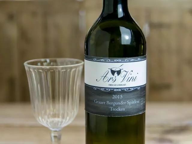 Ars Vini
