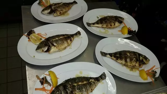 A Telha